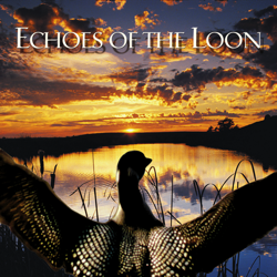 Echoes of the Loon - Naturescapes Music Cover Art
