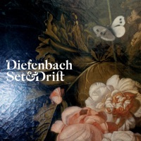 Album cover for The Police by Diefenbach