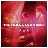 The Gabe Dixon Band
