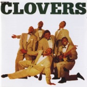 Clovers - Blue Velvet
