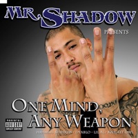 One Mind, Any Weapon - Mr. Shadow