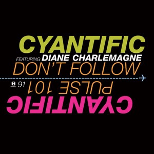 Don't Follow - Single