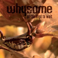 Of the Need to Wait - Whysome