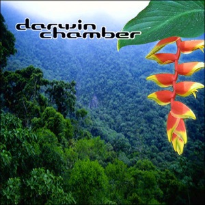 3D Rainforest Environment
