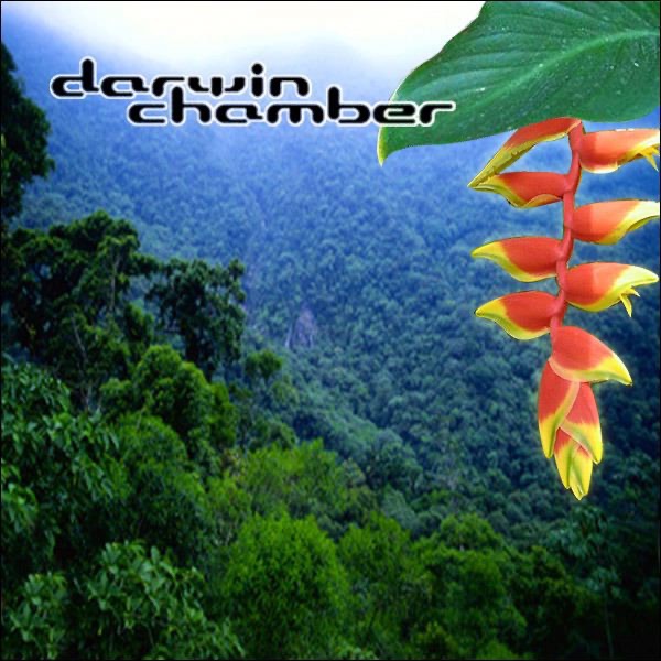 3D Rainforest Environment