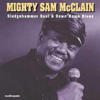 Sledgehammer Soul and Down Home Blues - Mighty Sam McClain