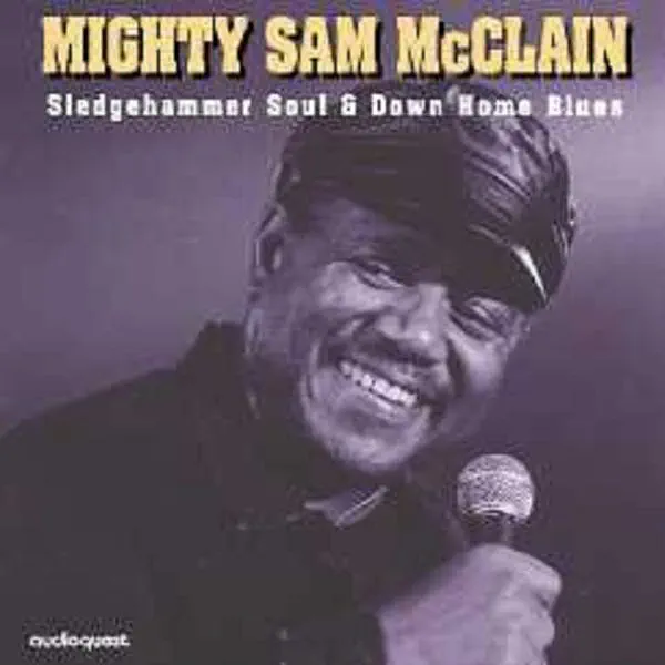 When The Hurt Is Over — Mighty Sam McClain