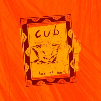 Box of Hair album cover