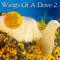 One Perfect Son - Lesley McDaniel lyrics