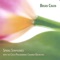 Andantino - Brian Crain lyrics