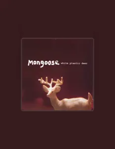 聆聽 Mongoose、觀看音樂影片、閱讀小傳、查看巡演日期等！