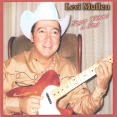 Levi Mullen - These Boots Ain't Made For Walkin'