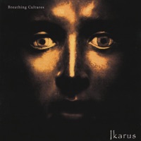 Breathing Cultures - Ikarus
