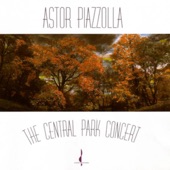 The Central Park Concert (Live) artwork