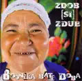 Bucovina Remix