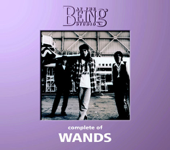 Complete of WANDS: At the Being Studio - WANDS Cover Art