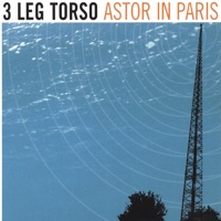 3 Leg Torso - Elliot's Dream
