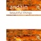 Beautiful Things - Andain & Cor Fijneman lyrics