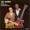 Joe Beard Featuring Ronnie Earl & The Broadcasters - I Count the Days You're Gone