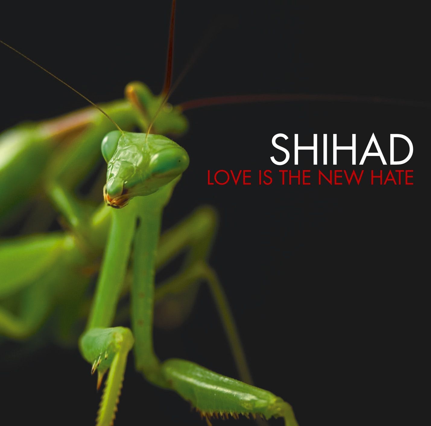 Love Is the New Hate