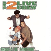 Shake A Lil Somethin