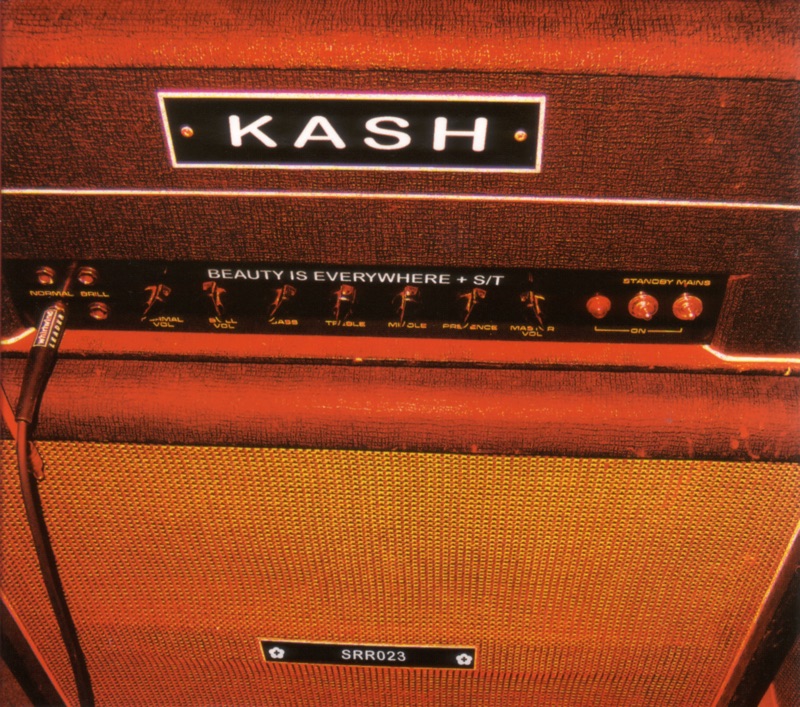 Beauty Is Everywhere / Kash