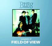 DAN DAN 心魅かれてく - FIELD OF VIEW Cover Art