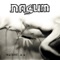 Shadows - Nasum lyrics
