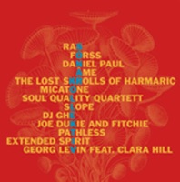 DJ Fitchie & Joe Dukie - Midnight Marauders