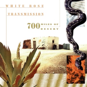 700 Miles of Desert