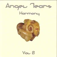 The Peace Will Come — Angel Tears