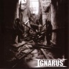 Ignarus