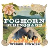 Foghorn Stringband - All Night Long