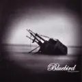   -  Bluebird