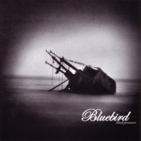  -  Bluebird