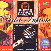 En Tu Dia — Mariachi Garibaldi