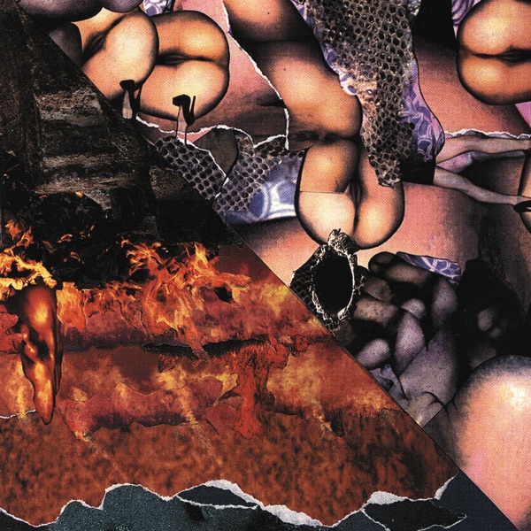 Album art for The Eagle Has Landed