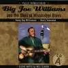 Big Joe Williams - The Army Blues - David 'Honeyboy' Edwards