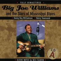 Big Joe Williams and the Stars of Mississippi Blues - Big Joe Williams