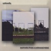 Yellowfly - For What It's Worth