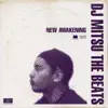 DJ Mitsu the Beats - Right Here (Featuring Dwele)