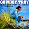 Cowboy Troy - If You Don't Wanna Love Me