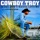 Cowboy Troy - If You Don't Wanna Love Me