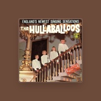 The Hullaballoos
