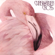 Think of Laura - Christopher Cross