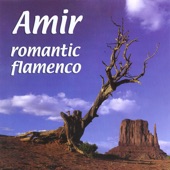Romantic Flamenco artwork