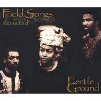 Fertile Ground - Sentimental Groove