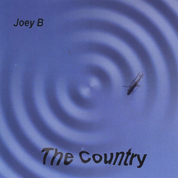 Обложка альбома «The Country» — Joey B