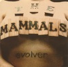 Evolver
