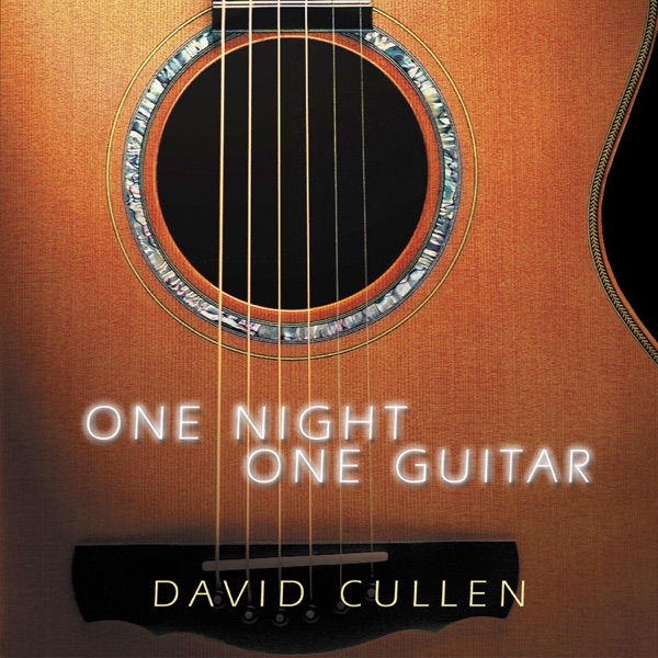 One Night One Guitar